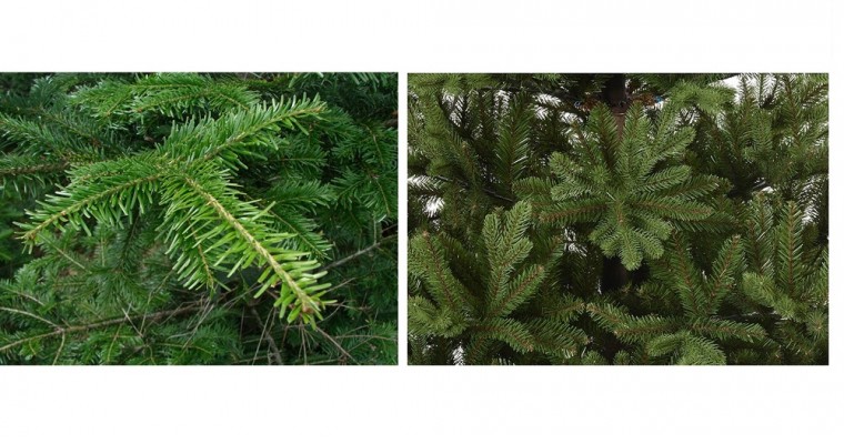 Albero di natale artificiale o vero? Pro e contro