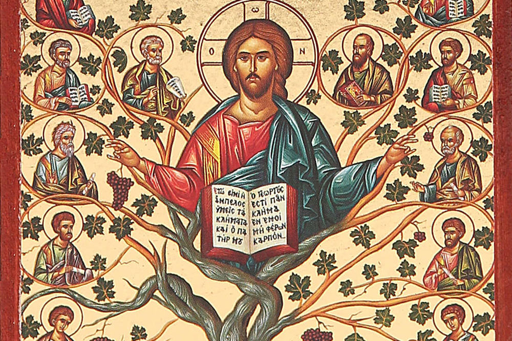 Significato Del Natale Per I Cristiani.Il Significato Dell Albero Della Vita Holyblog