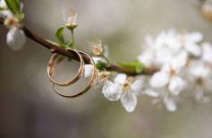 curiosità sul matrimonio