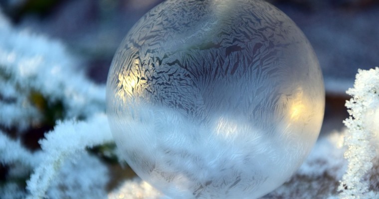 Gli alberi di Natale innevati: la guida definitiva