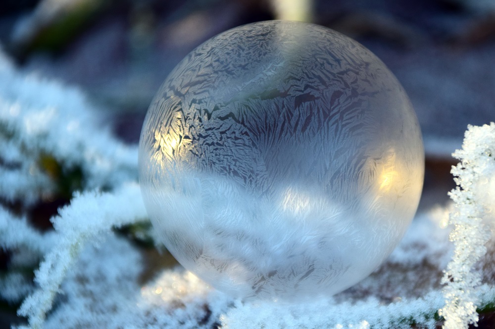 Gli alberi di Natale innevati: la guida definitiva