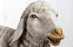 I versi degli animali per presepe