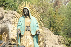 madonna di guadalupe