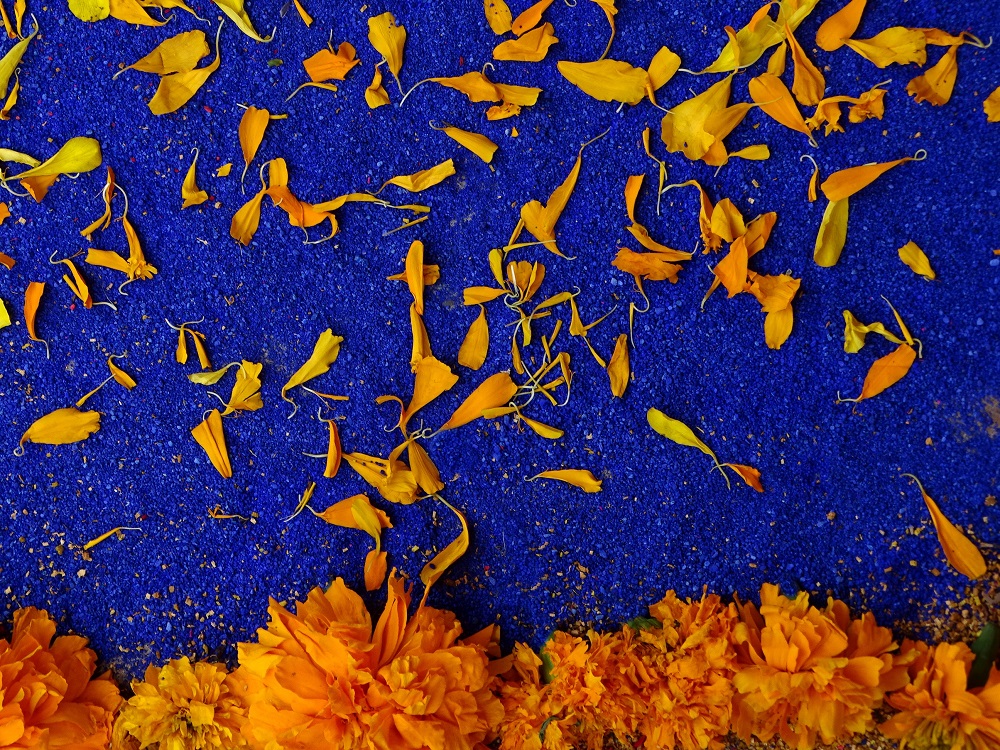 cempasuchil flor