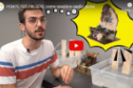 pompe video