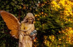 Angeli