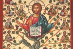 il significato dell albero della vita