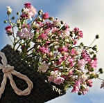 fiori