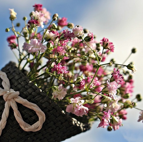 fiori