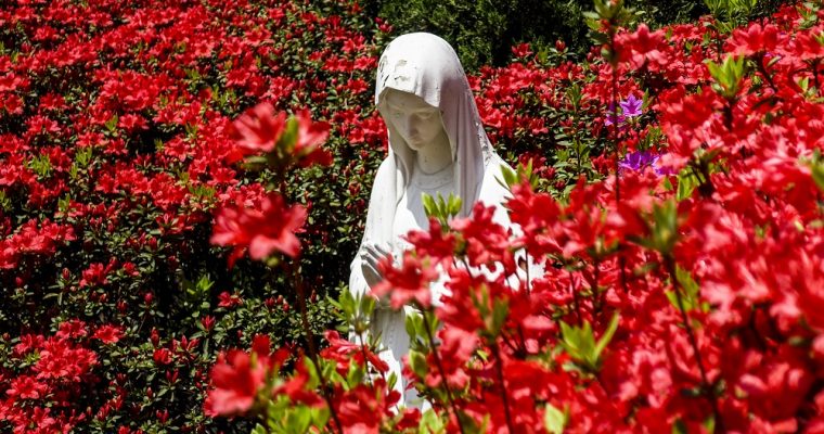 La Madonna del Roseto rappresentata da vari artisti