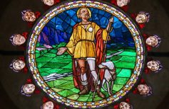 san rocco e il cane