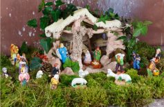 come conservare il muschio per il presepe