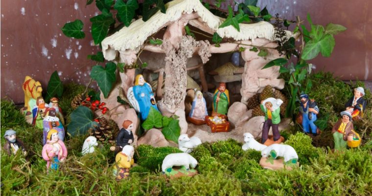 Come conservare il muschio per il presepe