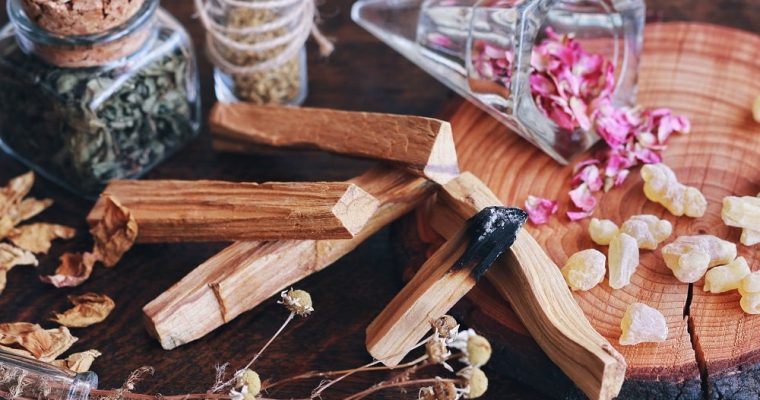 Il palosanto: proprietà e benefici del suo legno pregiato