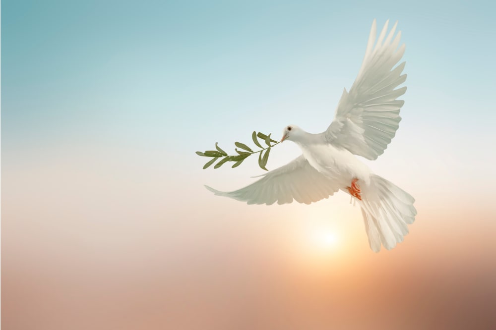 Le più belle frasi sulla Pace di Papa Francesco