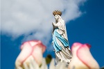 madonna del rosario