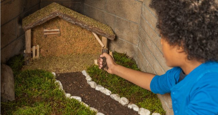 Come costruire un presepe: 3 cose immancabili