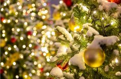 quanto consumano le luci di natale
