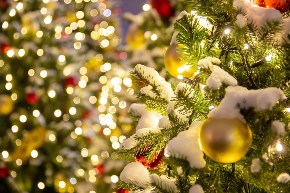 Quanto consumano le luci di Natale: la nostra guida