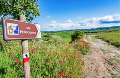 via francigena