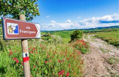 Via Francigena: tra i più antichi itinerari di pellegrinaggio