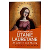 litanie lauretane con Maria