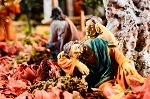 Orto degli ulivi