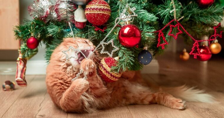 Convivenza tra gatto e albero di Natale: alcuni consigli pratici