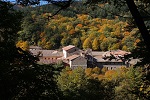 monastero camaldoli