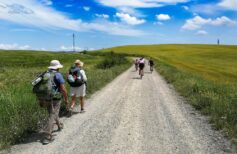 pellegrinaggio via degli abati